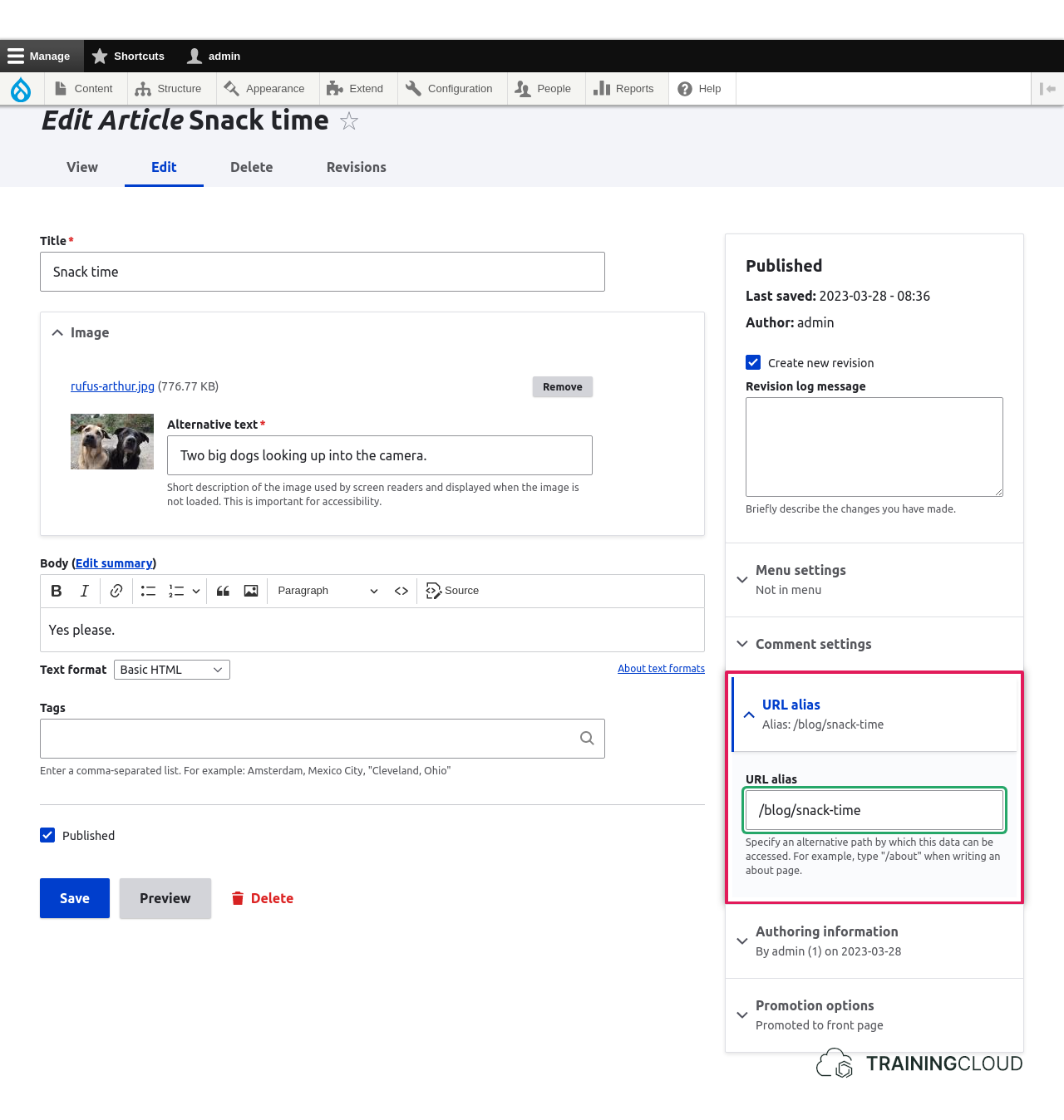 The node edit form with the URL alias section highlighted.