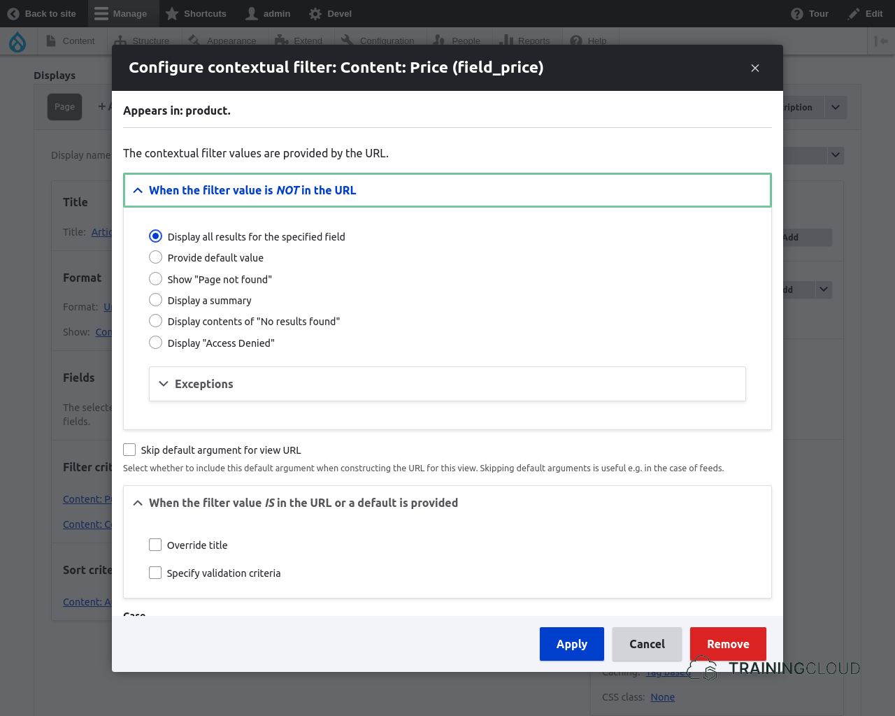 A screenshot of the contextual filter configuration modal in a Drupal 10 view.
