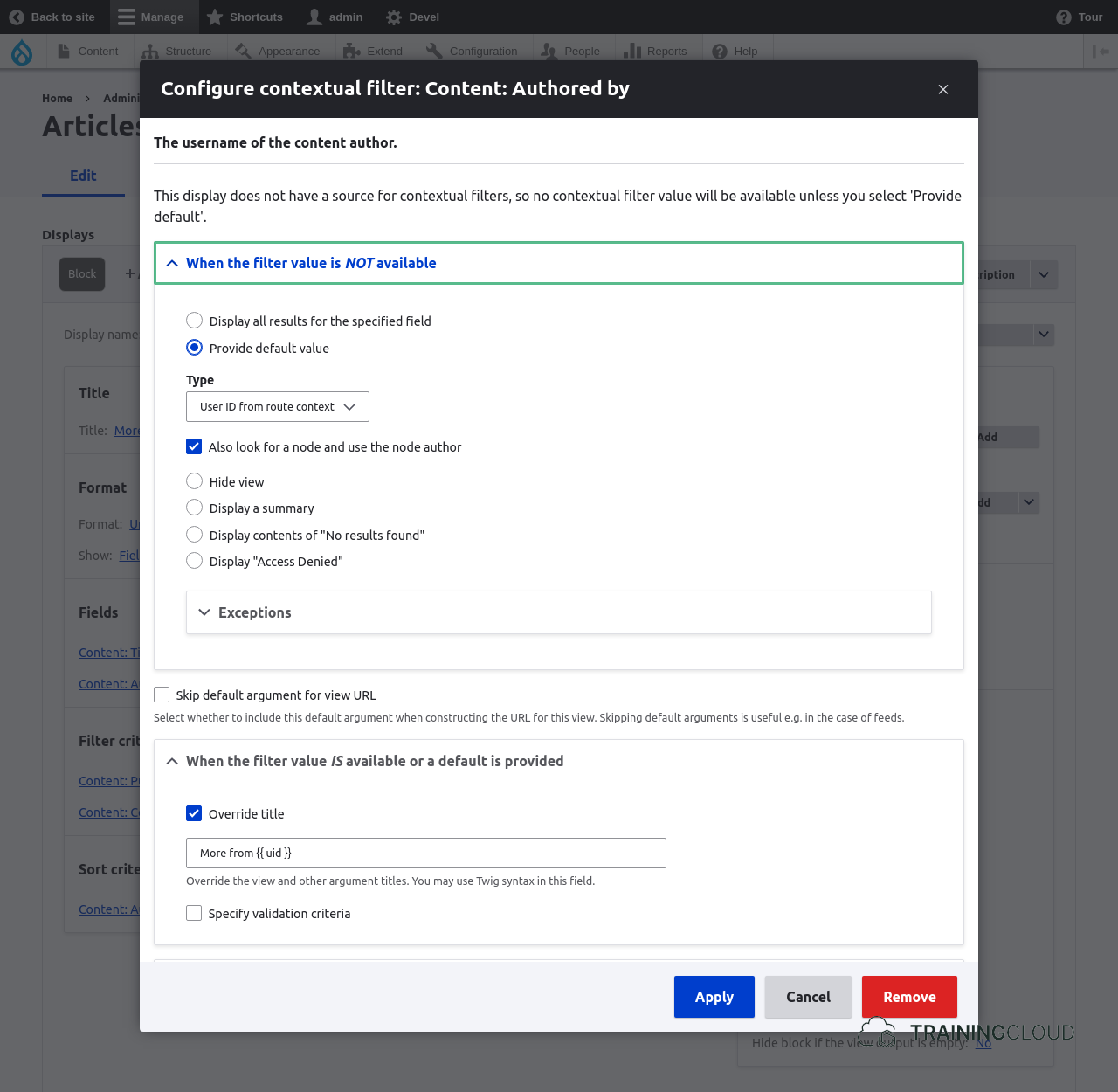 A screenshot of a Drupal 10 contextual filter modal with some settings changed.