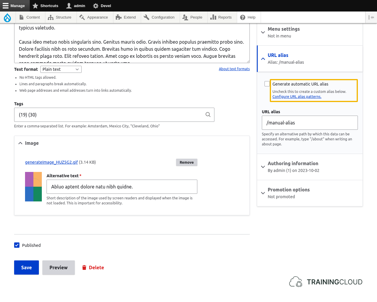 A screenshot showing the generate automatic URL aliases unchecked on a Drupal 10 article.