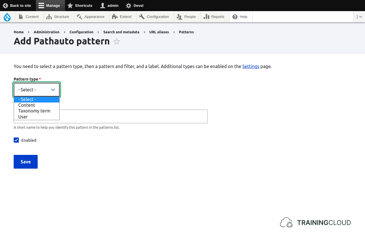A screenshot of the Drupal 10 add new pathauto partern options page.