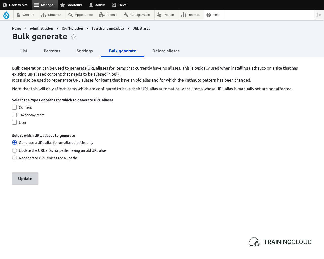 A screenshot of the Drupal 10 pathauto bulk generate page.