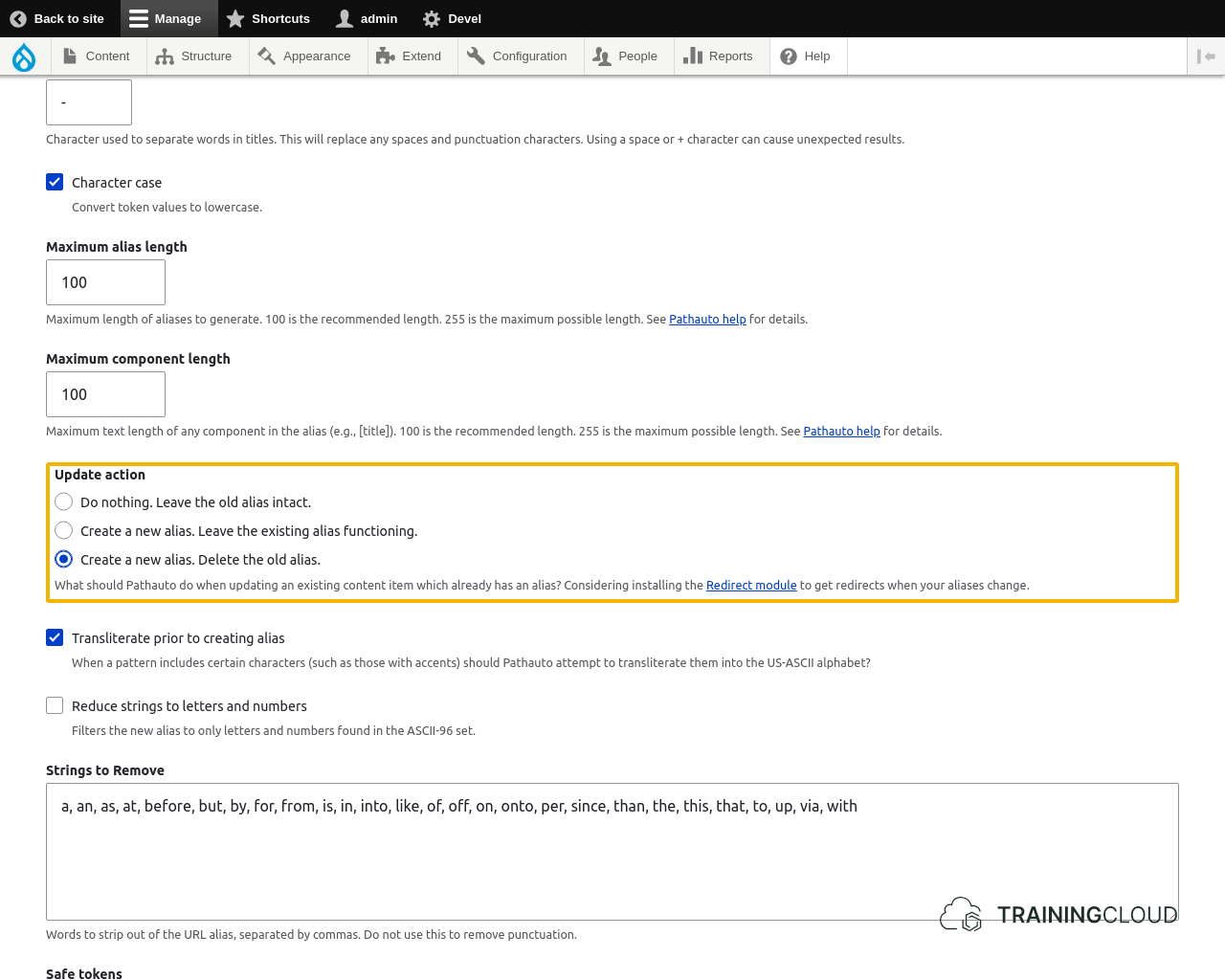 A screenshot of the Drupal 10 pathauto settings page with the update action options highlighted.