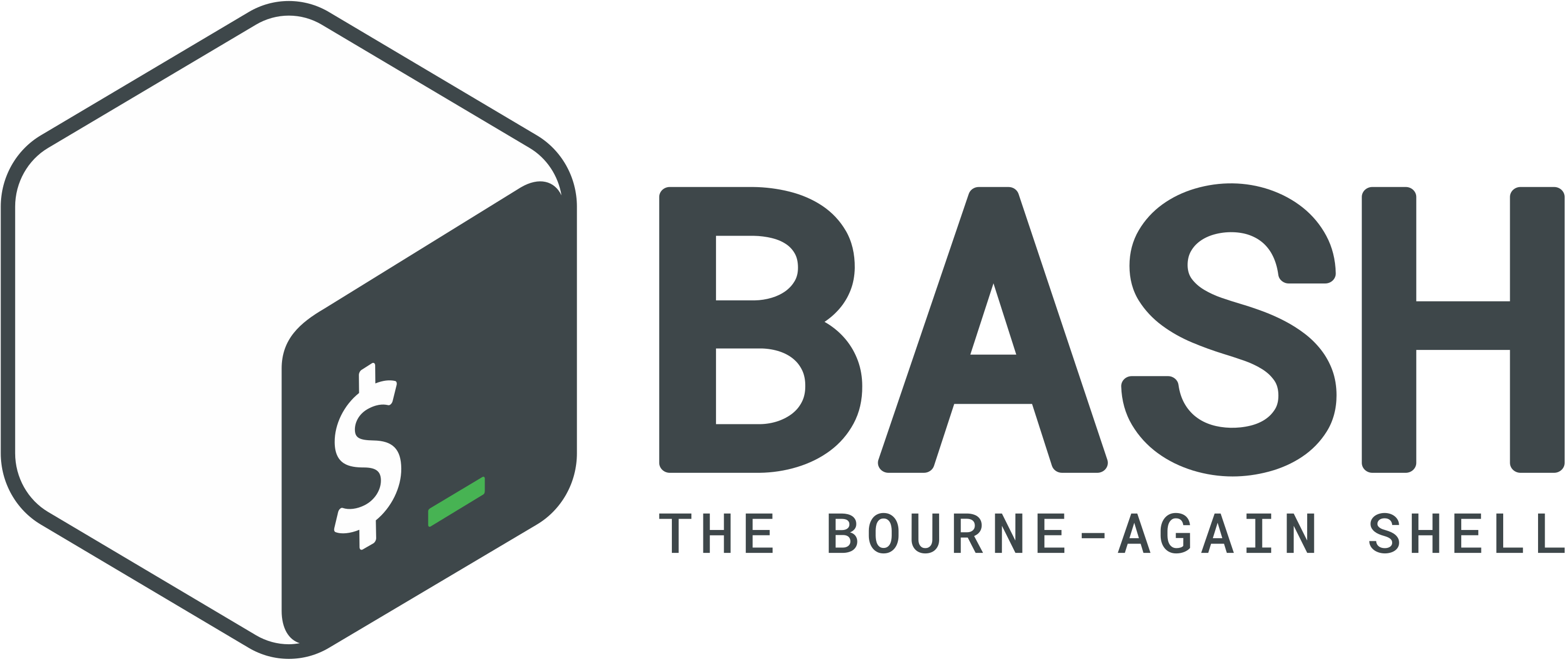 The Bourne-Again Shell, or BASH logo