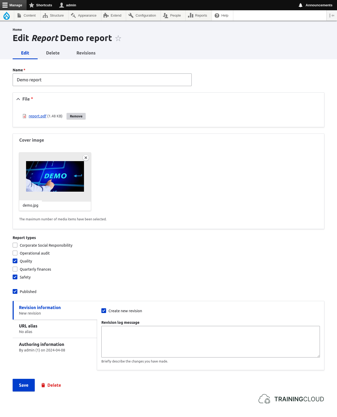 Editing a report media entity