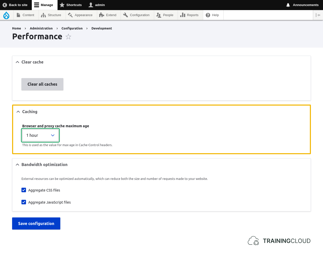 A screenshot of the Drupal 10 performance page with the Caching options highlighted.