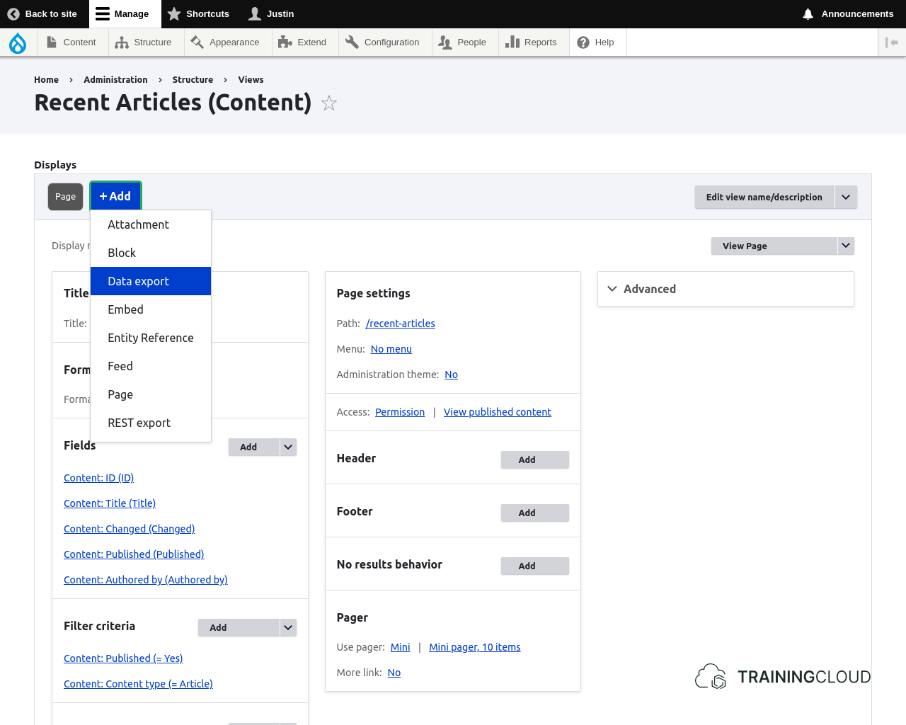 A screenshot of a view configuration page in Drupal 10, highlighting the option to create a Data export display. 