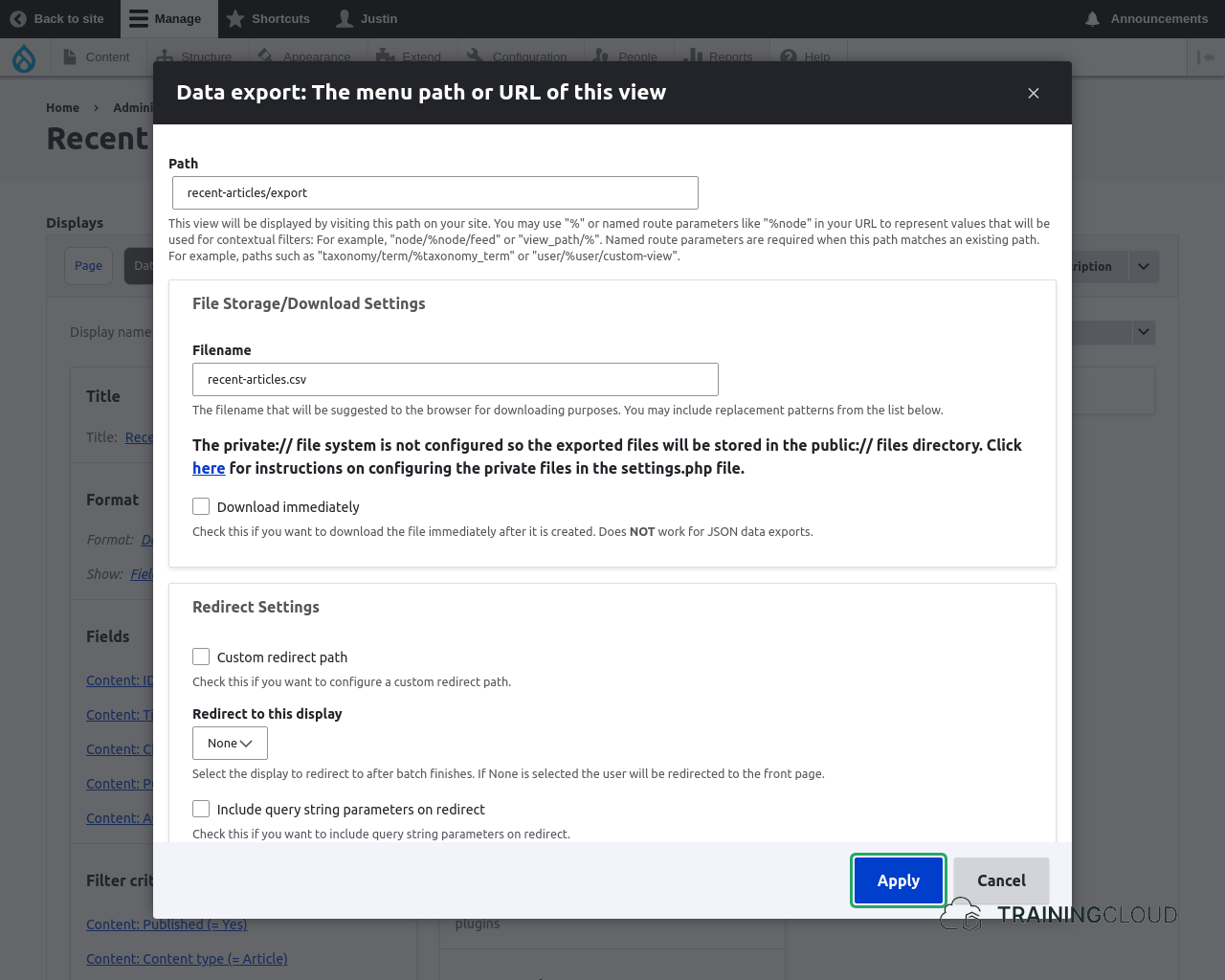 A screenshot of a Drupal 10 custom view path settings using the Views Data Export module