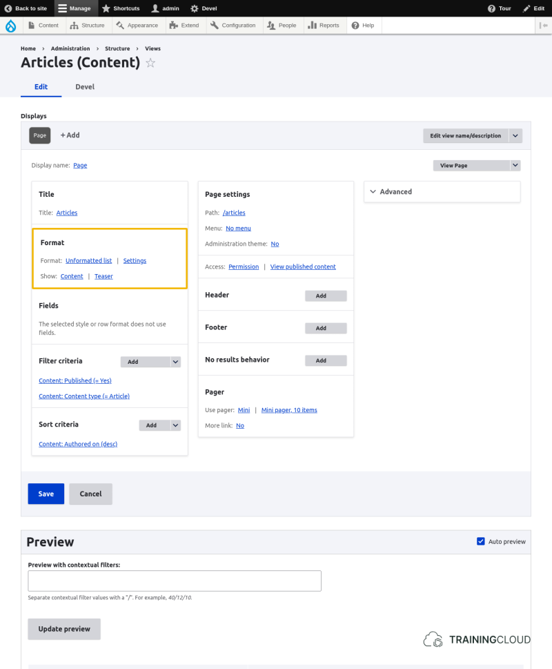 A screenshot of a Drupal 10 content view configuration page with the format options highlighted.