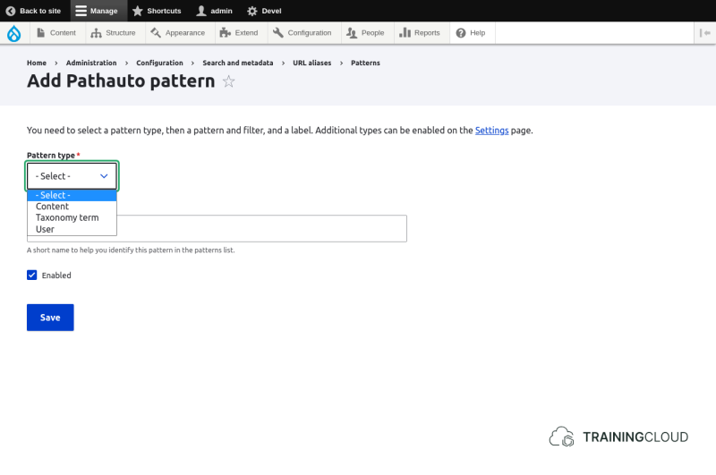 A screenshot of the Drupal 10 add new pathauto partern options page.