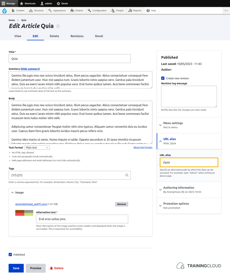 A screenshot of a Drupal 10 article creation page with the options to change the URL alias highlighted.