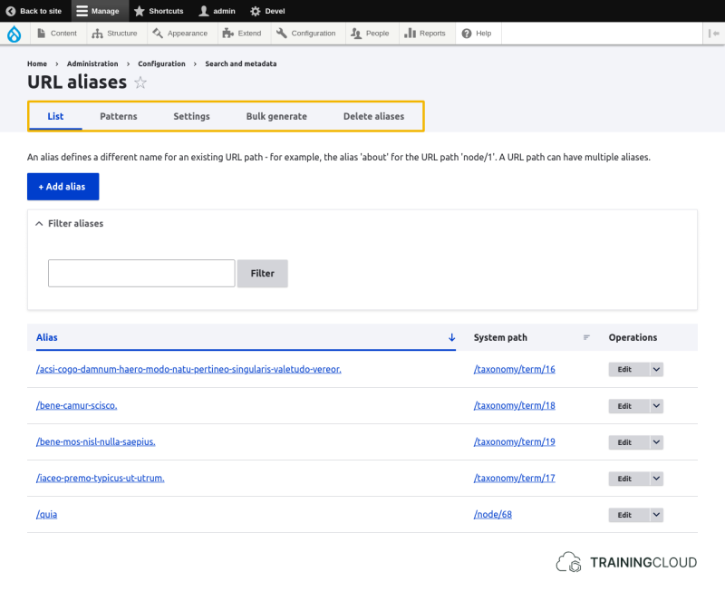 A screenshot of the URL alias page with the path auto local menu items highlighted.