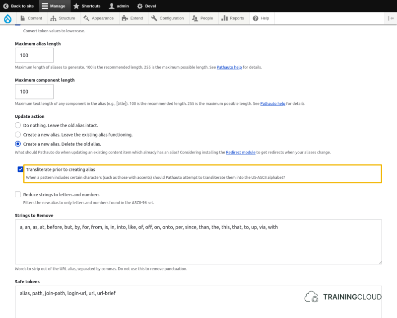 A screenshot of the Drupal 10 pathauto settings page with the transliterate options highlighted.