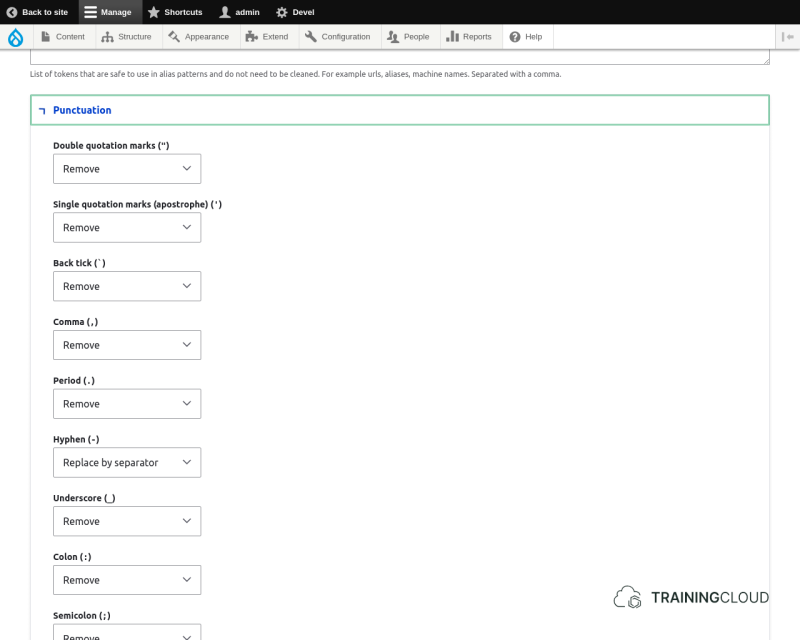A screenshot of the Drupal 10 pathauto punctuation settings.