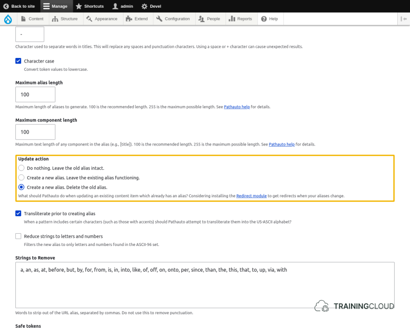 A screenshot of the Drupal 10 pathauto settings page with the update action options highlighted.