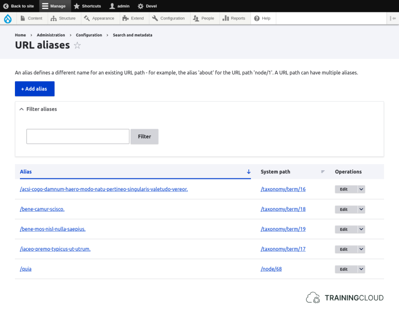 A screenshot of the Drupal 10 URL aliases page.