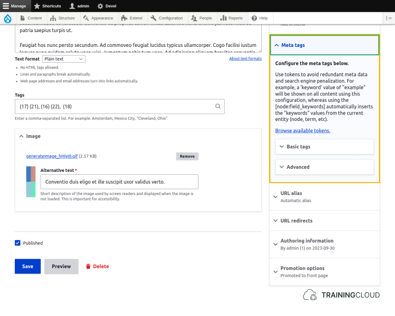 A screenshot of a Drupal 10 article edit page with the metatag override options highlighted.