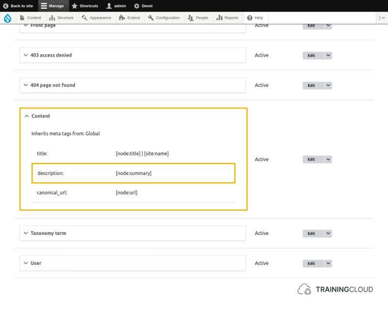 A screenshot of the Drupal 10 default metatag options with the pattern for content description highlighted.