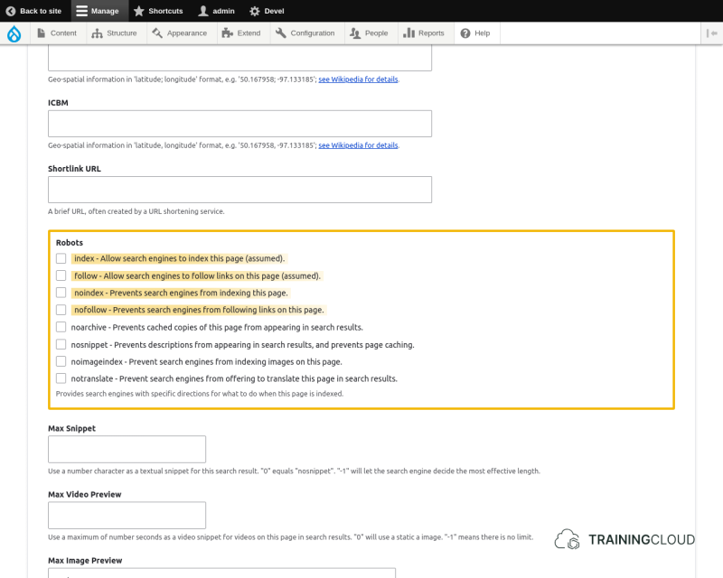 A screenshot of the Drupal 10 edit default Global metatag page with the Robots options highlighted.