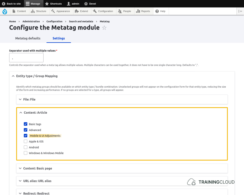 A screenshot of the Drupal 10 configure metatag settings page with the settings for articles highlighted.