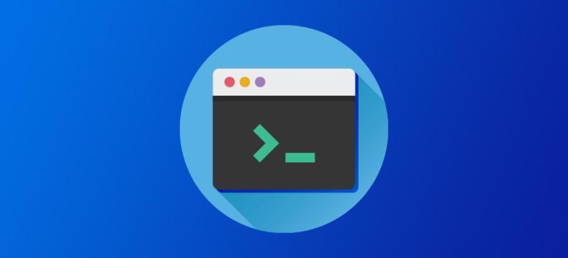 Illustration of a command-line terminal.