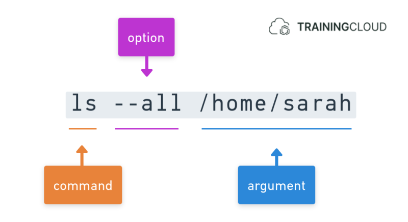 The three parts of a Linux command: command, options, and arguments.