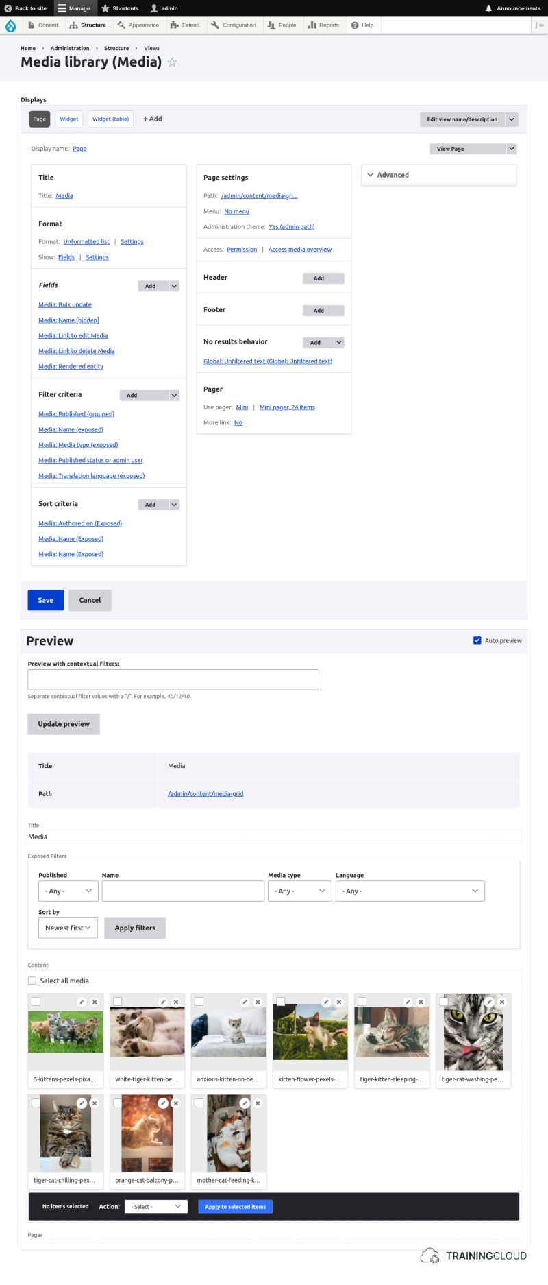 The Media Library View configuration