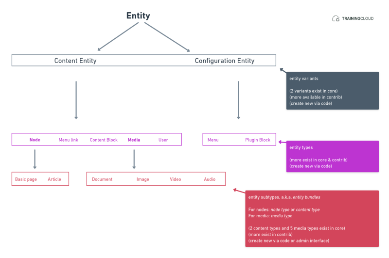 Entities, entity types, and bundles.