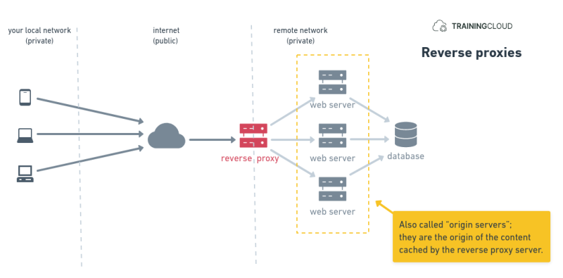 An image explaining the structure and functionality of Reverse proxies.