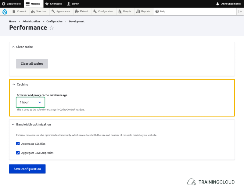 A screenshot of the Drupal 10 performance page with the Caching options highlighted.