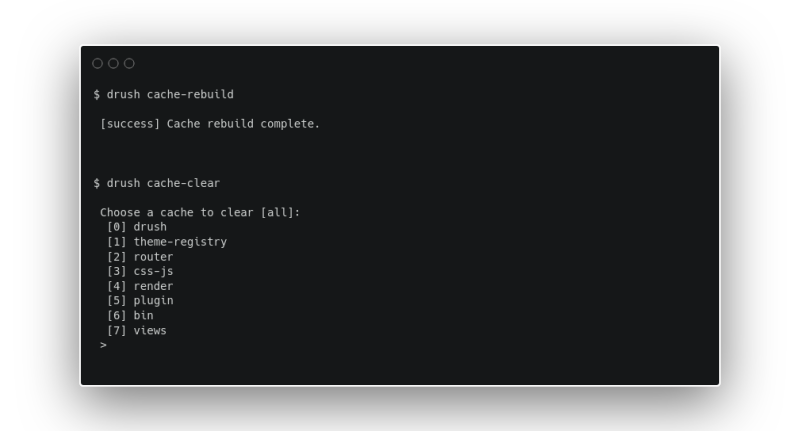 A screenshot of a terminal displaying the options to flush the cache using drush.