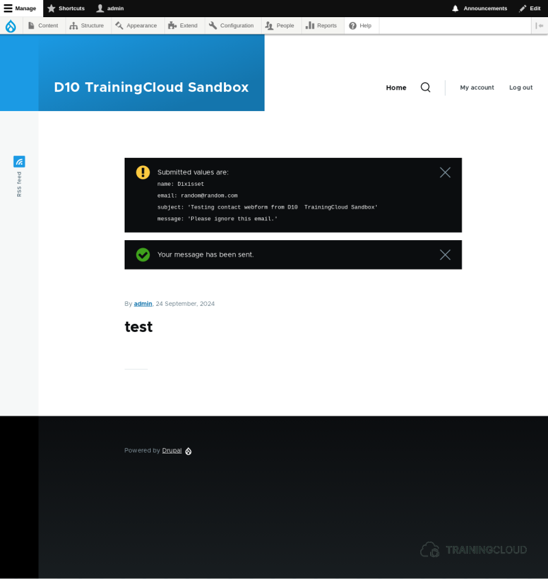 A screenshot of the results of a debug handler submission in a Drupal 10 webform.