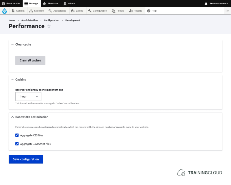 A screenshot of the Drupal 10 performance configuration page.